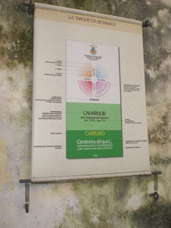 06 Giardino della Minerva.JPG